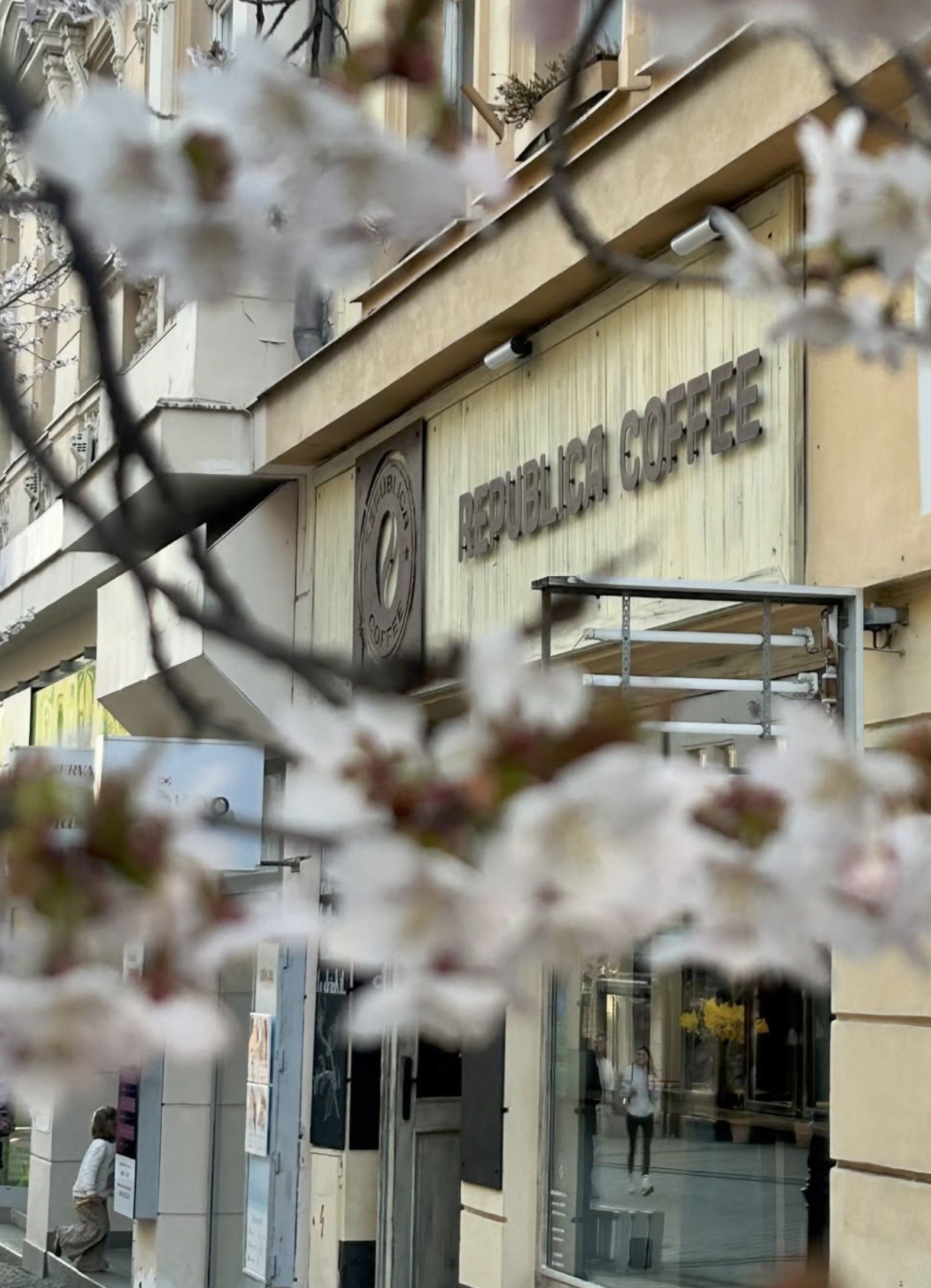 Cherry blossom branches frame the Republica Coffee storefront sign and circular logo mounted on the building facade